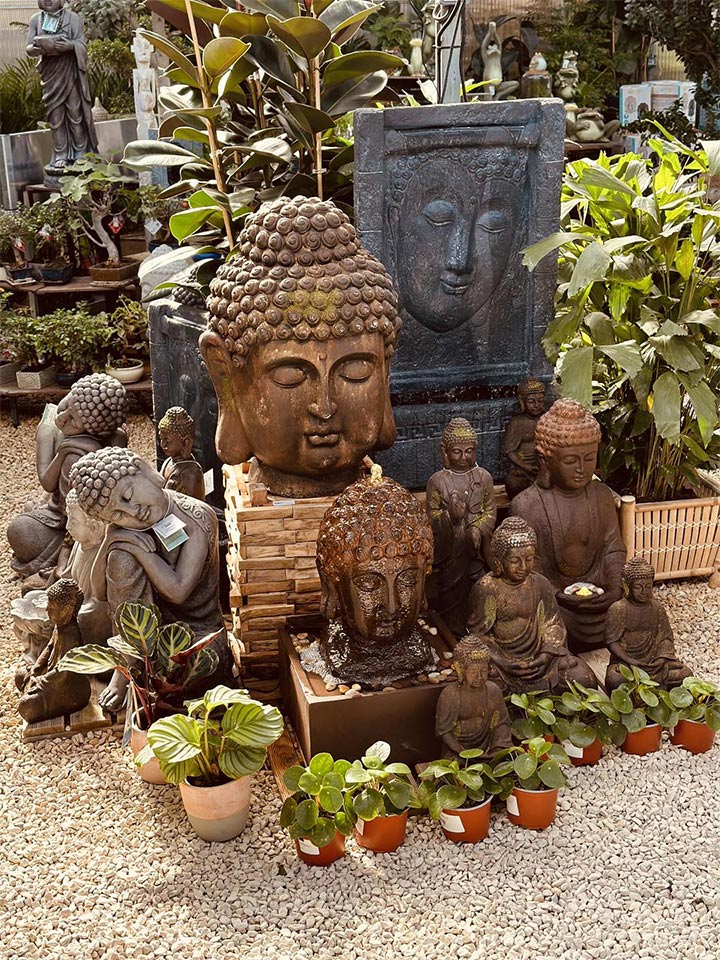 aménagement jardin carpentras
