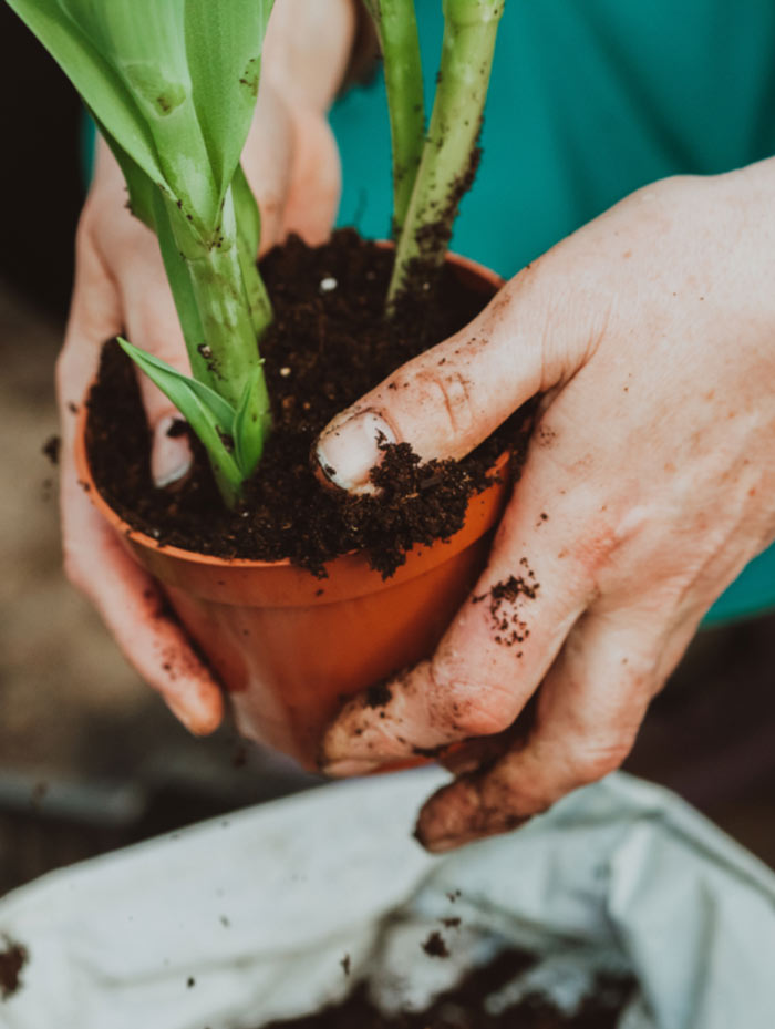 produits et outils de jardinage carpentras