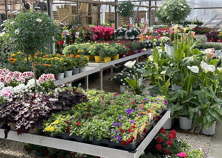 serre froide jardinerie carpentras