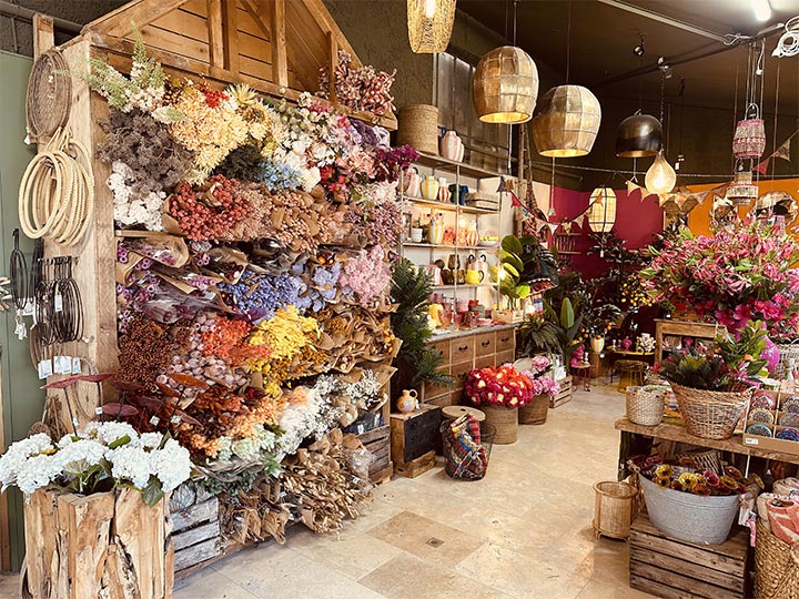 décoration maison à Carpentras : fleurs séchées