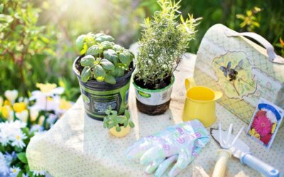 Préparer la rentrée au jardin à Carpentras : outils et bons gestes