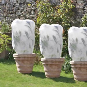 protéger ses plantes pour l'hiver vaucluse