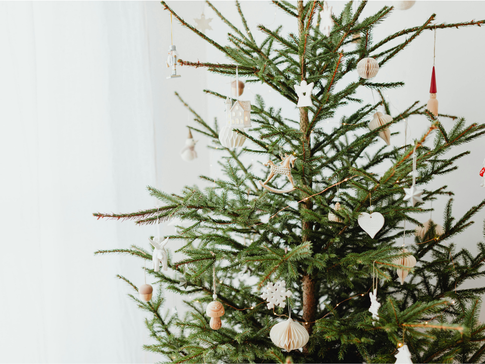 Sapin de Noel naturel à carpentras-Nordmann ou Epicea