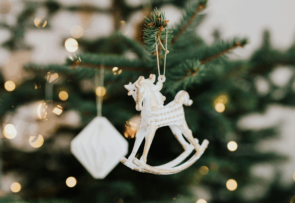 Choisir son sapin de Noël naturel à Carpentras