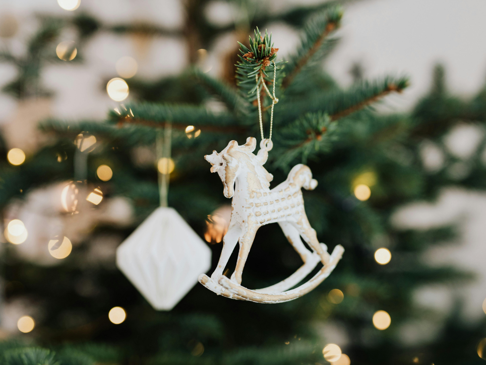 Acheter un sapin de Noel en Vaucluse