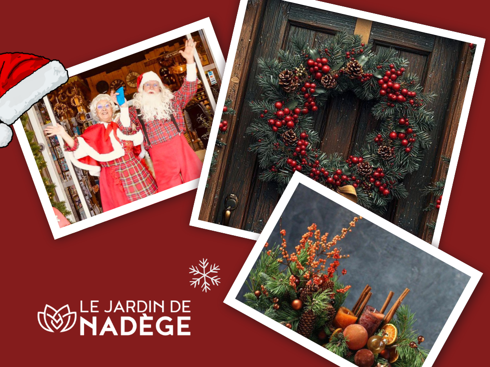 Noël au Jardin de Nadège à Carpentras