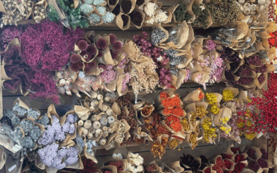 Réchauffer son intérieur avec des fleurs séchées d’automne