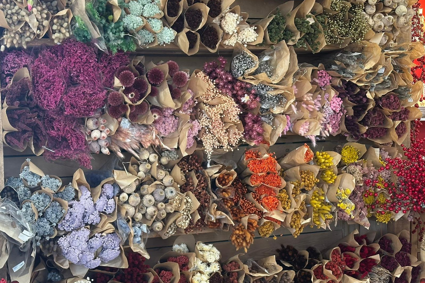 achat de fleurs sechees pour bouquet à carpentras