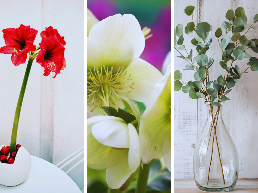 décorer sa table de noel avec des plantes
