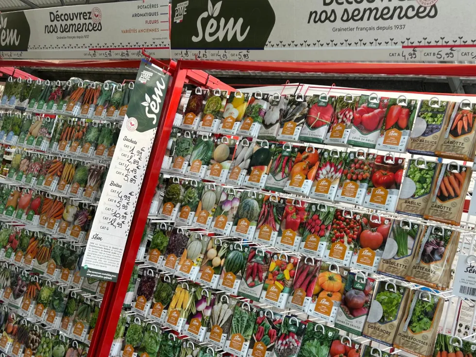 Semences pour potager en vaucluse_carpentras