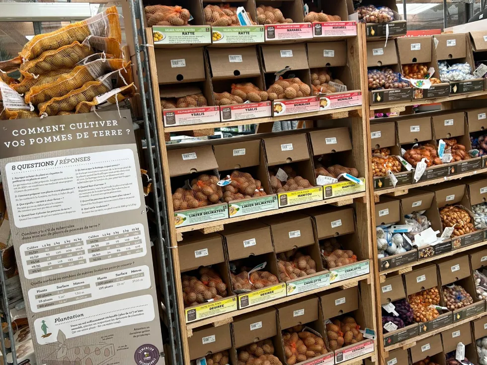 plantation février vaucluse Rayon jardinage-pomme de terre-le jardin de nadege-carpentras