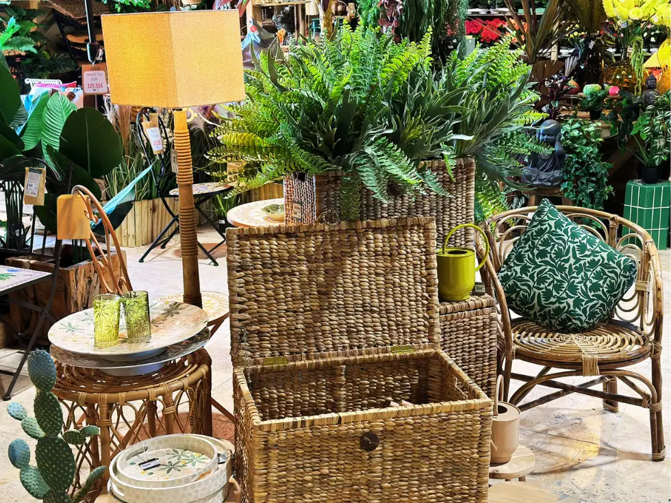 Décorer son intérieur avec des plantes originales et une décoration exotique et du rotin en Vaucluse