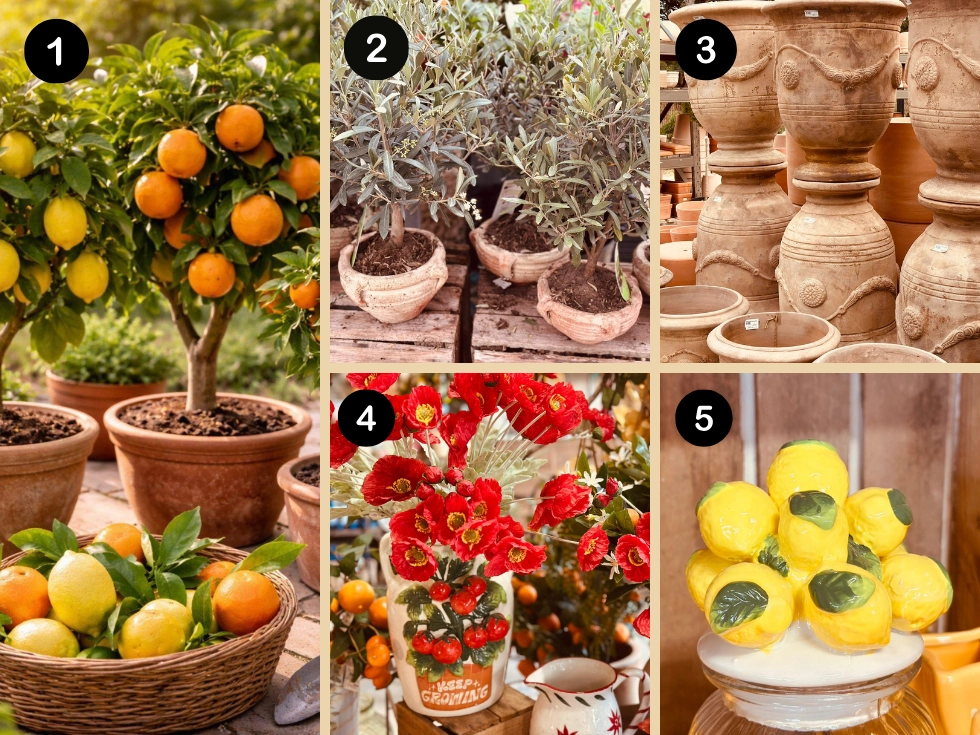 selection idée cadeau pour la fete des meres au jardin de nadège à carpentras