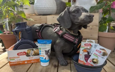 Quels accessoires de voyage sont recommandés pour partir avec un chien ou un chat ?
