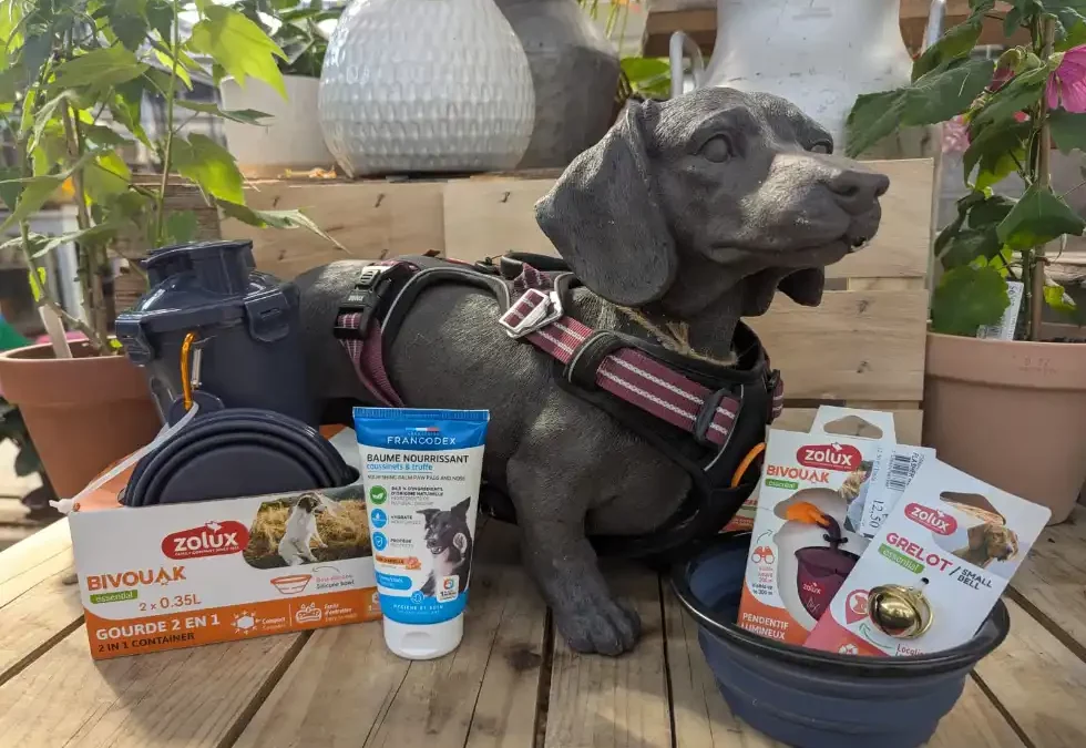 Quels accessoires de voyage sont recommandés pour partir avec un chien ou un chat ?