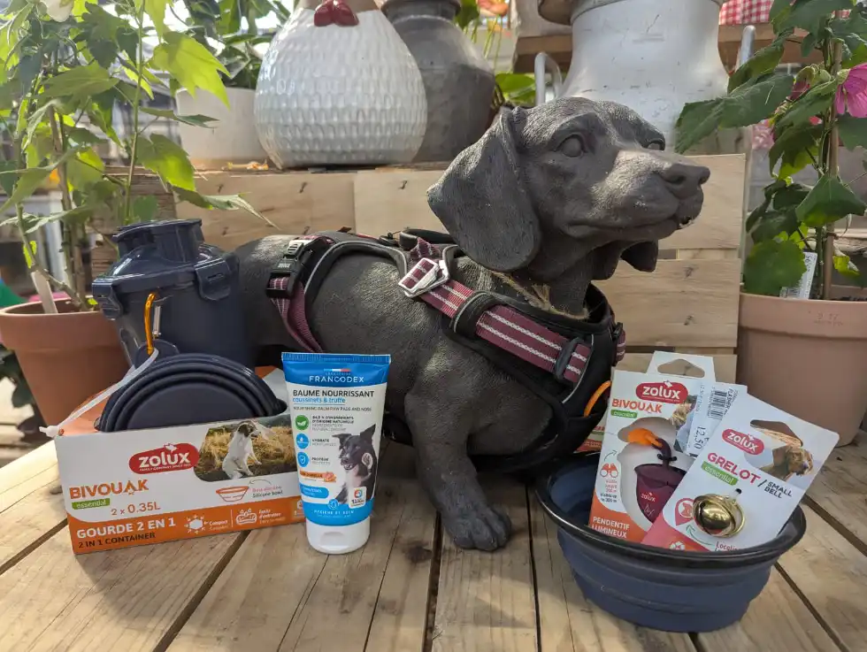 accessoires-chien-voyage ensemble d'accessoires pour voyager avec son chien au jardin de nadege à carpentras