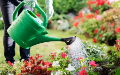 Arroser son jardin sans gaspiller : nos astuces à Carpentras
