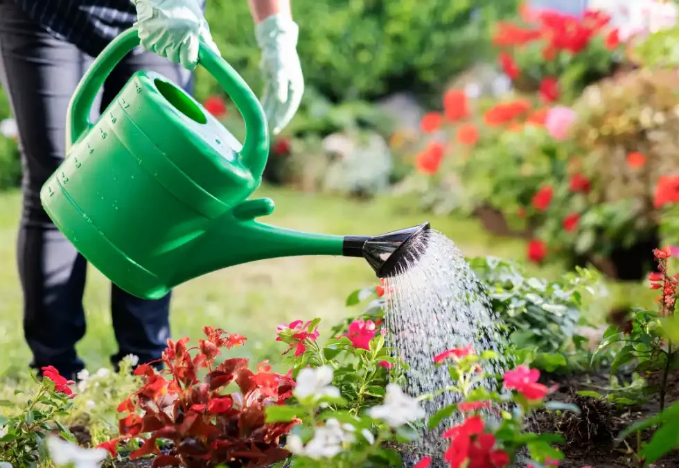 Arroser son jardin sans gaspiller : nos astuces à Carpentras