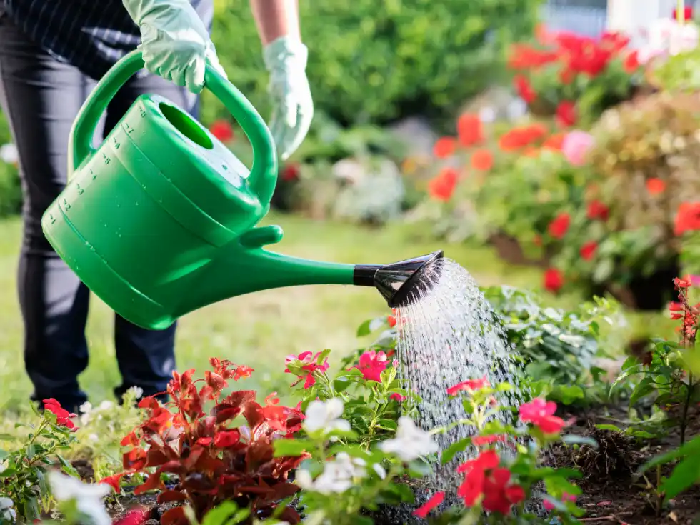 arroser son jardin sans gaspiller vaucluse