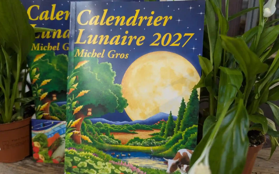 L&rsquo;influence de la lune sur le jardin : d&rsquo;où vient cette tradition ?