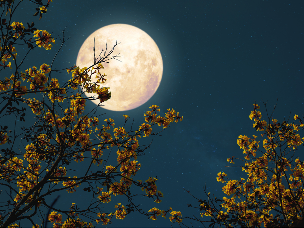 lune ascendante et descendante calendrier lunaire