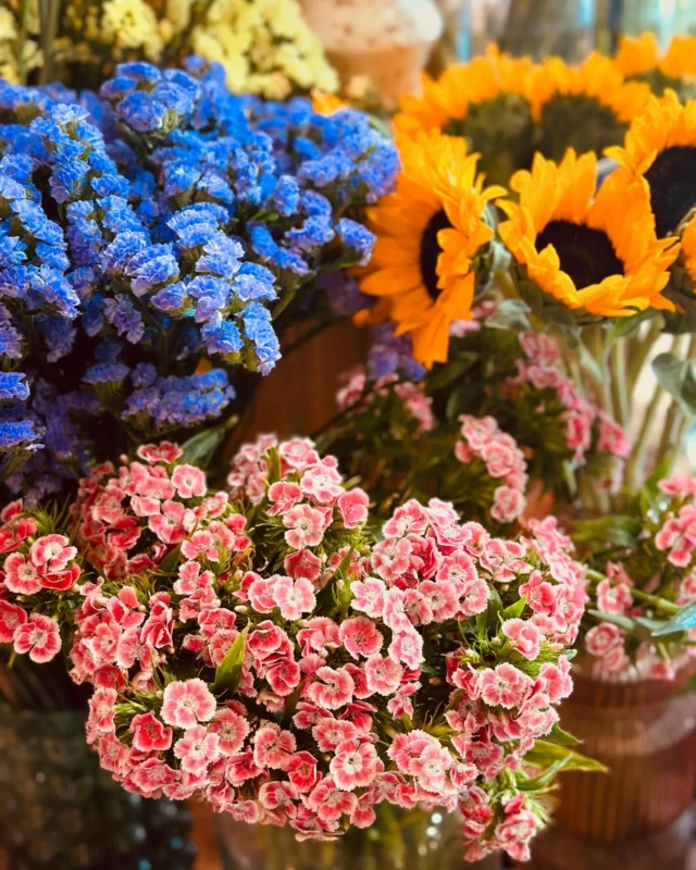 Fleurs coupées de la Semaine 😉

Restez connectés nous vous préparons des surprises pour la Fête des Mamans 🌺🌷🌺

@ très viiiiiite !…