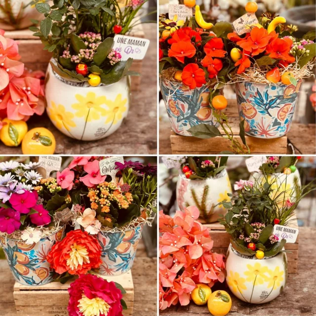 🌿 Ce lundi, la boutique était fermée… mais l’atelier, lui, était en pleine effervescence !
On a mis tout notre cœur à préparer de jolies compositions de plantes pour vous 🌸💚

🎨 Trois ambiances pour plaire à tous les goûts :
🍊 Fruité – Des compositions pleines de pep’s, avec de la déco autour des fruits
🌸 Floral – Douceur, couleurs et esprit printanier
🌾 Nature – Dans des tons clairs et des matières brutes pour une ambiance zen et épurée

💐 Il y en a pour toutes les envies et pour tous les intérieurs !
On vous attend avec le sourire pour vous aider à trouver la composition coup de cœur 😊

À très vite au Jardin !

📅 Ne manquez pas notre rendez-vous annuel !

🕘 Samedi 24 & dimanche 25 mai – ouverture non-stop de 9h à 19h
🍋 Citronnade offerte le samedi 24, de 10h à 18h
🌞 Un moment plein de douceur et de couleurs à partager ensemble !

!

📍 Le Jardin de Nadège
606 route de Bédoin – 84200 Carpentras